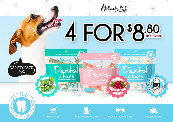 Altimate pet sales dental chew