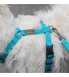 Haqihana Arctic Dog Harness