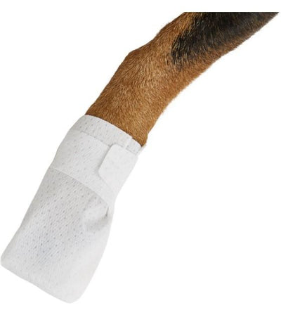 Pawflex medimitt paw sales bandages