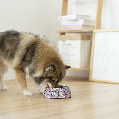 Ohpopdog Peranakan Inspired Royal Blue 150 Non-Slip Dog Feeding Bowl with Dog 01