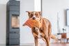 Red Dingo Durables Echidna Dog Toy - Red Dingo Durables Echidna Dog Toy - Dog Play