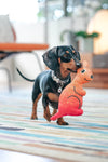 Red Dingo Durables Kangaroo Dog Toy - Small Dog Play