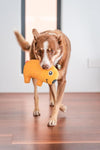 Red Dingo Durables Wombat Dog Toy - lifestyle
