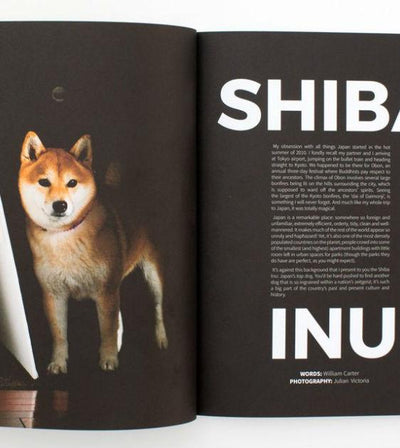 DOG Magazine Issue 02 (Biannual Publication)