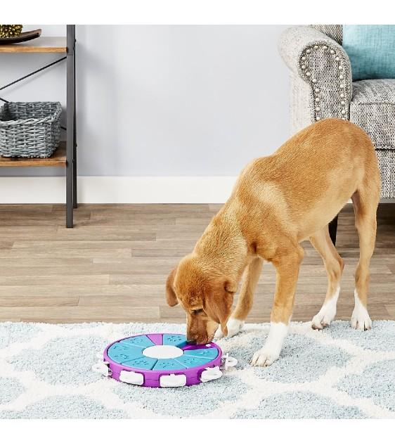 Twister Puzzle Dog Toy // Toy Review (Nina Ottosson) 
