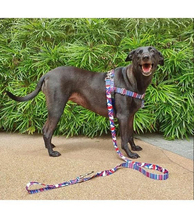 Loyal.D Freedom No-Pull Earthstyle Rocky Dog Harness
