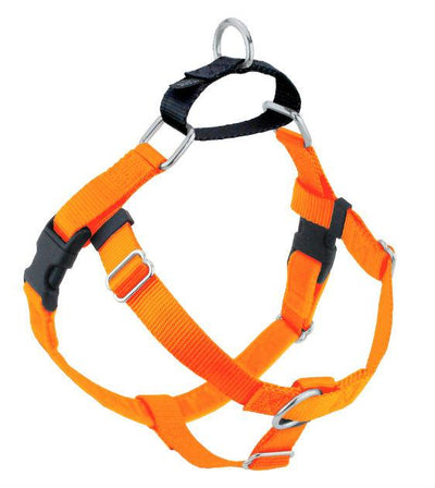Freedom No-Pull Harness & Leash (Neon Orange/Black) For Dogs