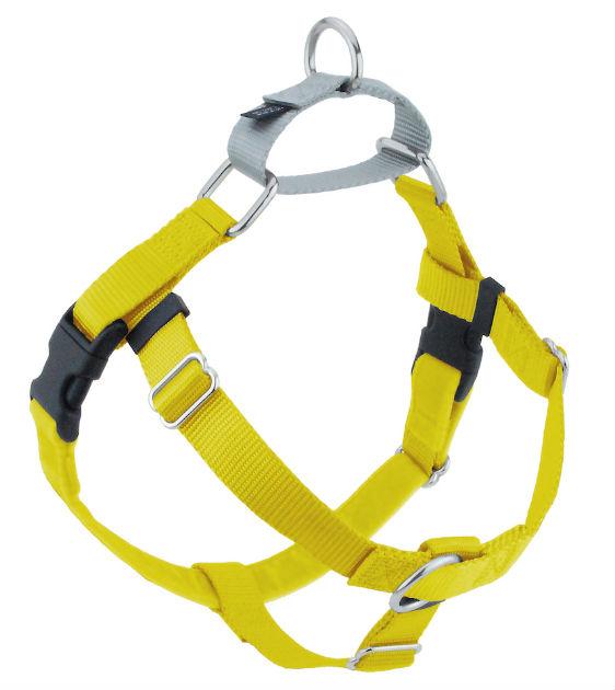 FREEDOM No-Pull Harness & Leash (Yellow/Silver) For Dogs