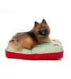 FuzzYard Big Dreamer (Pizza Lyf) Dog Bed