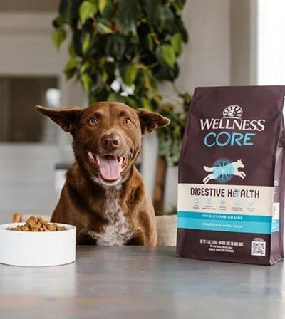 Wellness CORE Digestive Health Whitefish Recipe (Whitefish & Brown Rice) Dry Dog Food