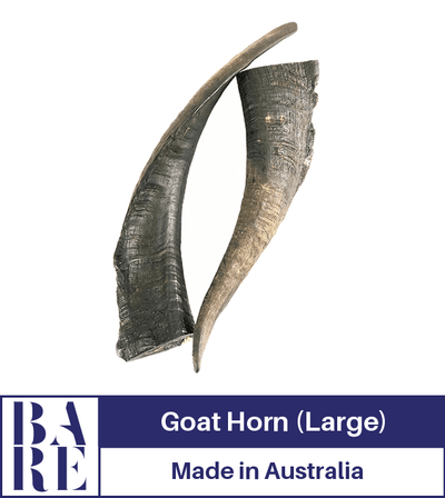 BARE Australian Premium Goat Horn Dog Treats