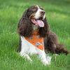 Insect Shield Dog & Bone Flea & Tick Repellent Bandana for Dogs - Dog