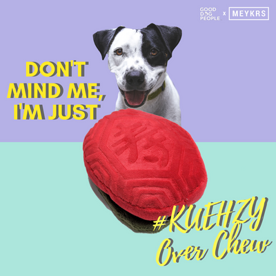 $10 NDP SPECIAL: GDP x Meykrs Kuehzy Ang Ku Kueh Dog Toy (Limited Edition)