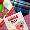 30% OFF: Kong Puppy Love Box