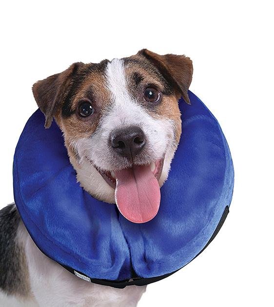 Kong Cloud Dog Collar Good Dog People