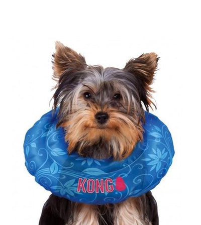 Kong Cushion Dog Collar