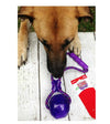 Kong Squeezz Ball with Handle Dog Toy