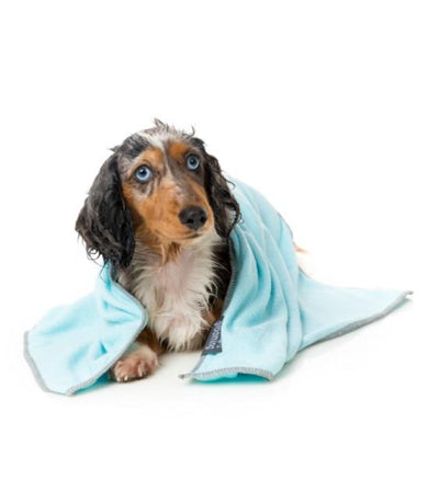 FuzzYard Microfibre Blue With Grey Trim Drying Towel For Puppies