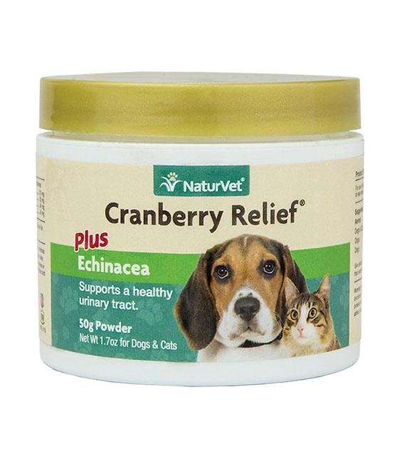 Dog 2025 uti relief