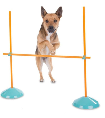 Outward Hound Zip & Zoom Indoor Agility Kit for Dogs