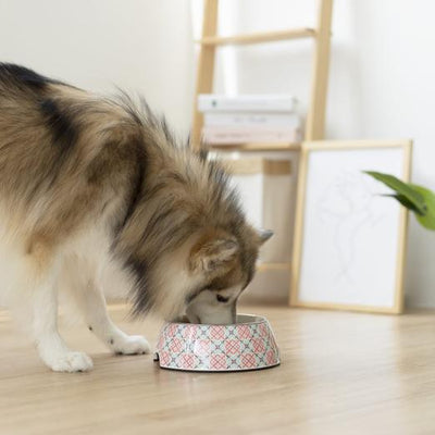 Ohpopdog Peranakan Inspired Bibik Pink 14 Non-Slip Dog Feeding Bowl with dog