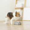 Ohpopdog Peranakan Inspired Bunga Peach 6 Non-Slip Dog Feeding Bowl - with dog 02