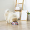 Ohpopdog Peranakan Inspired Royal Blue 150 Non-Slip Dog Feeding Bowl with dog
