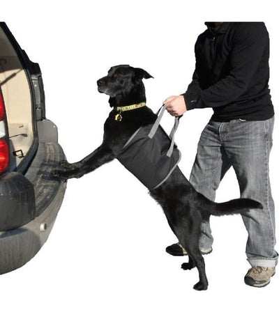 Outward Hound Pup Boost Lift Dog Harness