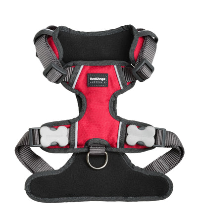 Red Dingo Padded Dog Harness (Red)