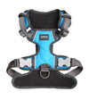 Red Dingo Padded Dog Harness (Turquoise)
