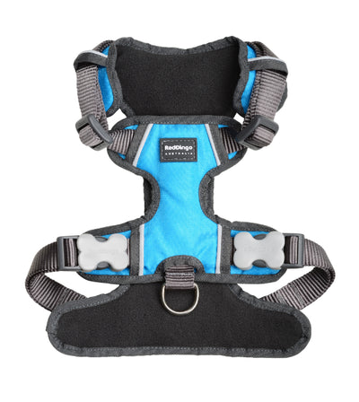 Red Dingo Padded Dog Harness (Turquoise)