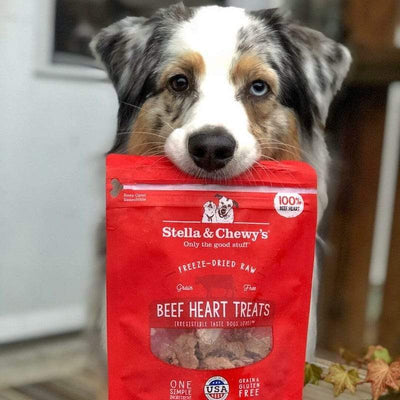 Stella & Chewy’s Freeze Dried Single Ingredient Beef Heart Dog Treats - Dog Lifestyle