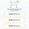Ruffwear Chain Reaction™ Reflective Martingale Dog Collar (Seafoam)