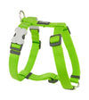 Red Dingo Classic Dog Harness (Lime Green)