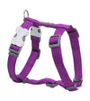 Red Dingo Classic Dog Harness (Purple)
