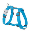 Red Dingo Classic Dog Harness (Turquoise)