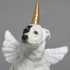 20% OFF: BarkShop Mythical Mutt Wearable Dog Plush Toy Set