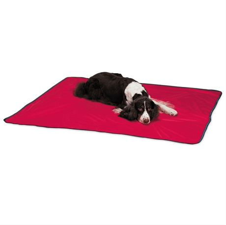 Red 2024 dog blanket