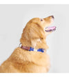 Sputnik Nylon (Blue) Dog Collar