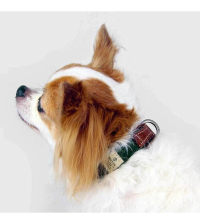 Sputnik Nylon (Green) Dog Collar