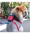 Sputnik Clean Bag Multi-Function Poop Bag Dispenser For Dogs (Red)