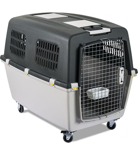 Medium size dog carrier cheap