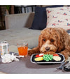 BarkShop Tubular TV Dinner Dog Plush Toy