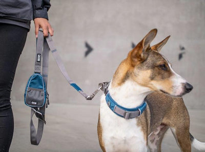 DOG Copenhagen Urban Trail Dog Leash (Ocean Blue)