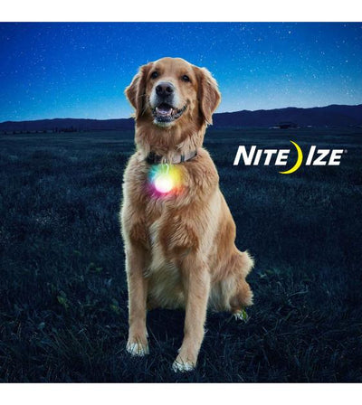 Nite Ize SpotLit XL Rechargeable Disc-O Select LED Collar Light