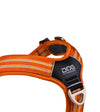 DOG Copenhagen Comfort Walk Air Harness (Orange Sun)