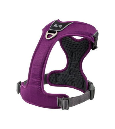 DOG Copenhagen Comfort Walk Pro Harness (Purple Passion)
