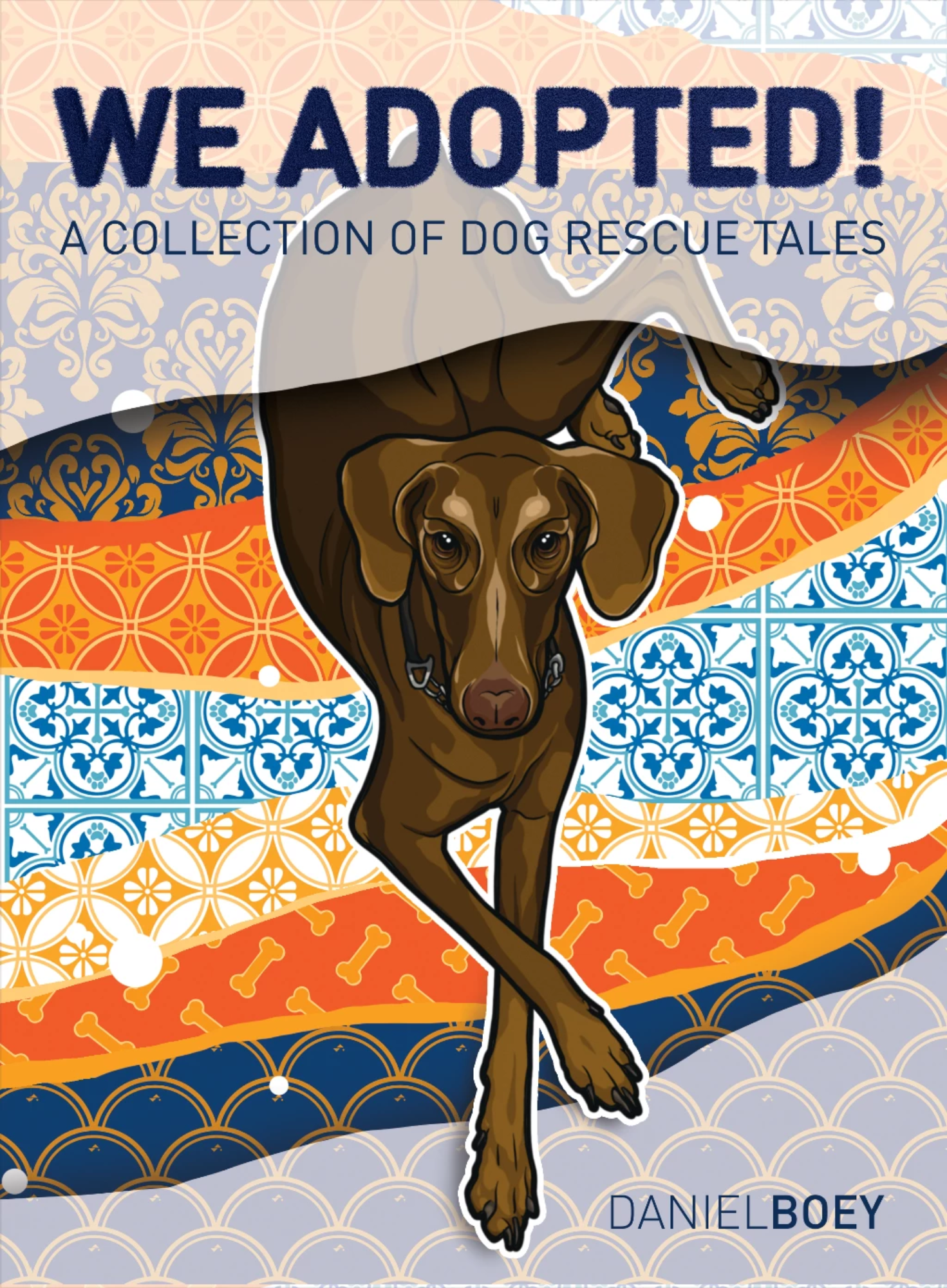 We Adopted! Book by Daniel Boey