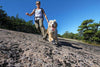 Ruffwear Grip Trex™ All-Terrain Dog Boots (Obsidian Black) For Dogs - Hiking 01