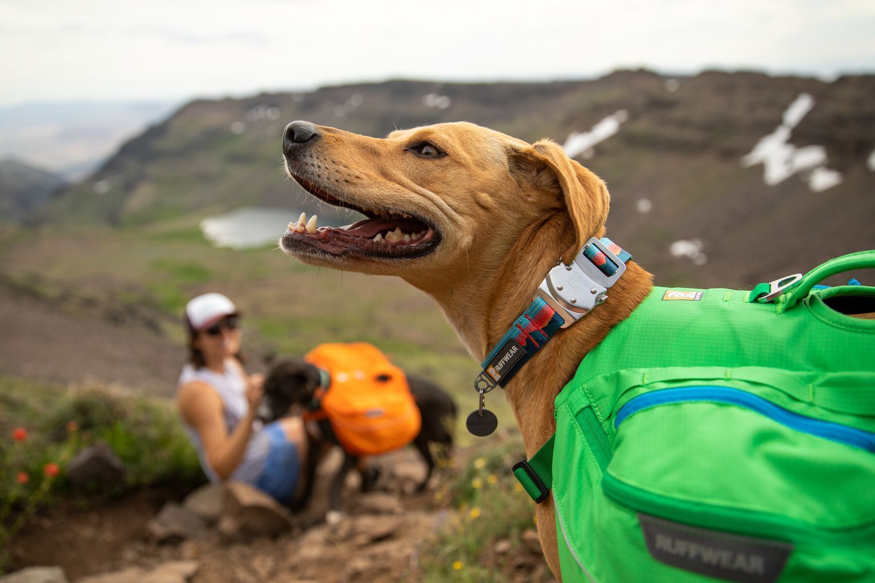 Ruffwear Top Rope Reflective Ballasted Dog Collar Seafoam